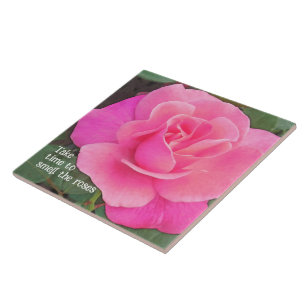 PINK ROSE/LEVE TEMPO PARA CHEIRAR OS ROSAS