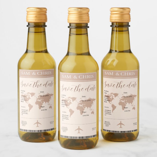 Pink Salmon Boarding Pass World Map Travel (Garrafas)