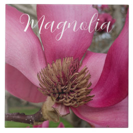 Pink Saucer Magnoly Floral