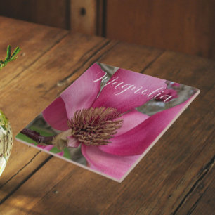 Pink Saucer Magnoly Floral