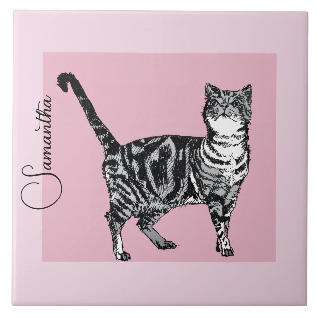 Pink Tabby Cat Cats Pastel Pink Girls Name (Frente)