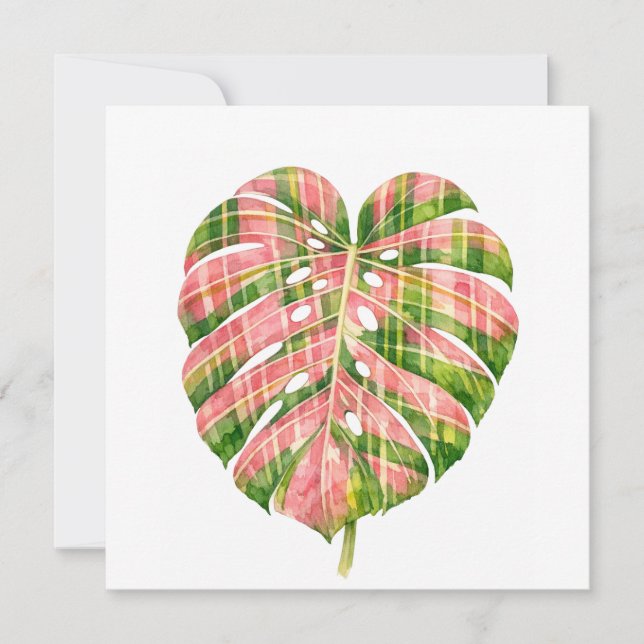 Pink Tartan Scottish Monstera Watercolour Botanic (Frente)