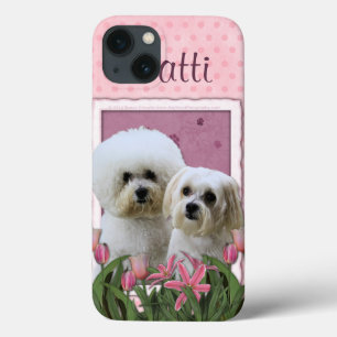 Pink Tulips - Bichon and Maltese