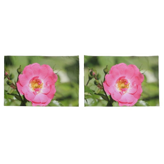 Pinks selvagens (Verso - conjunto)