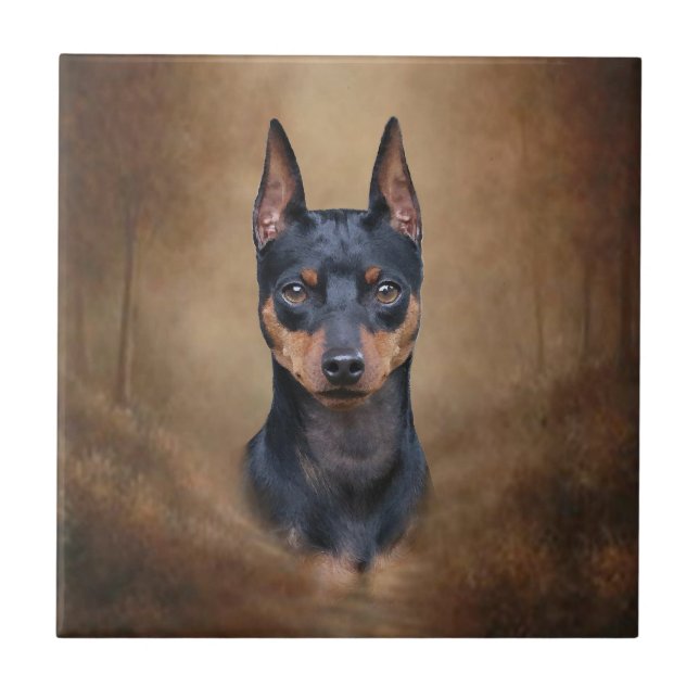 Pinscher diminuto (Frente)