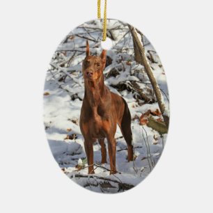 Pinscher do Doberman no ornamento da neve