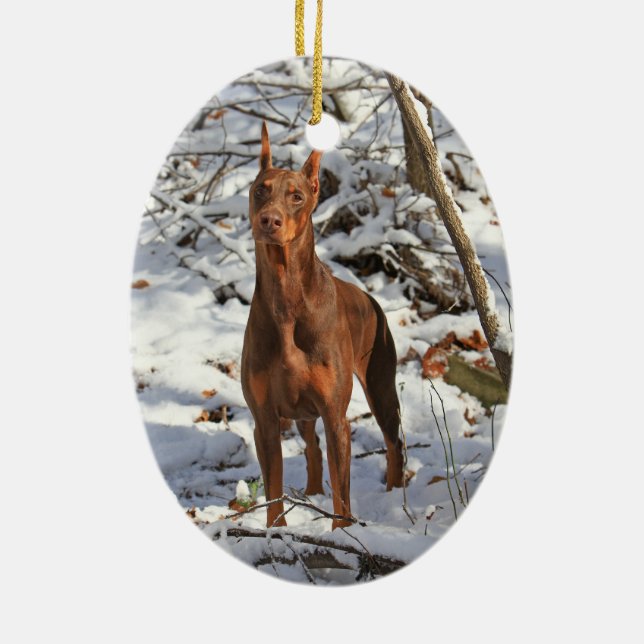 Pinscher do Doberman no ornamento da neve (Verso)