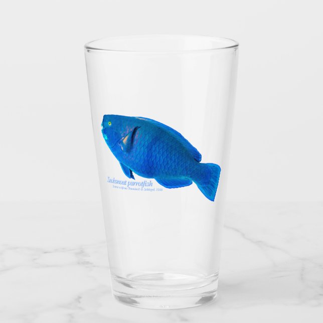 Pint peixe papagaio focinho de botão Copo de Vidro (Frente)