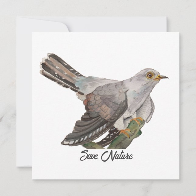 Pintar aquarela (Frente)