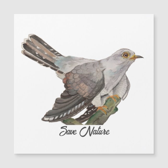 Pintar aquarela (Frente)