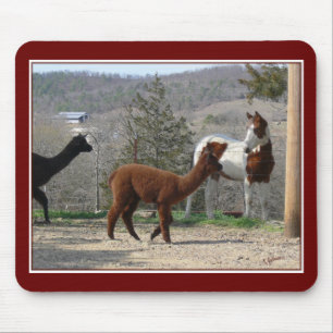 Pinte a alpaca Mousepad do cavalo