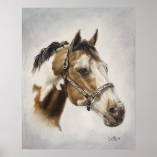 Pinte o poster do cavalo