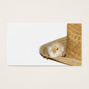 Pintinho de bebês de cowboy