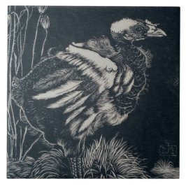 Pintinho de pássaro emergindo de seu ninho (por Ja