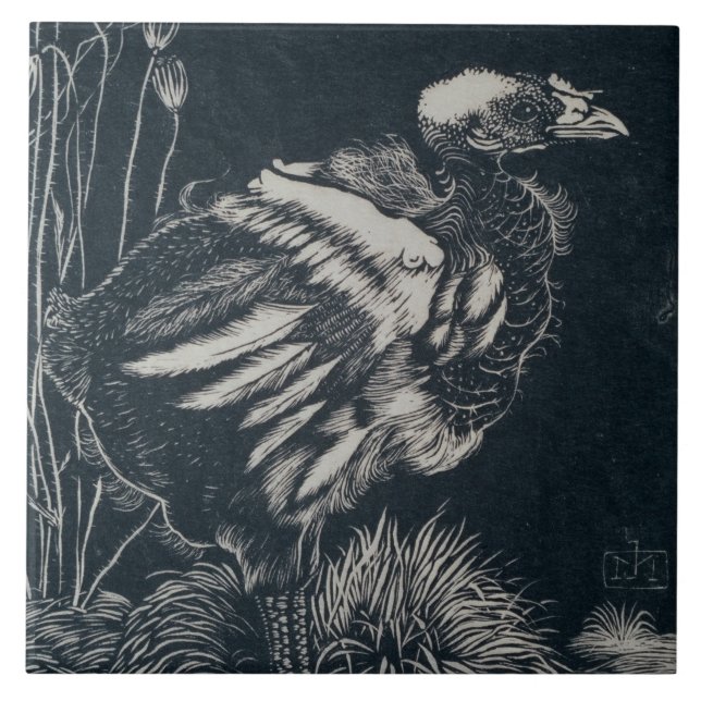 Pintinho de pássaro emergindo de seu ninho (por Ja (Frente)