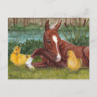 Pintinho de pato e cartão postal