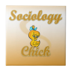 Pintinho de Sociologia