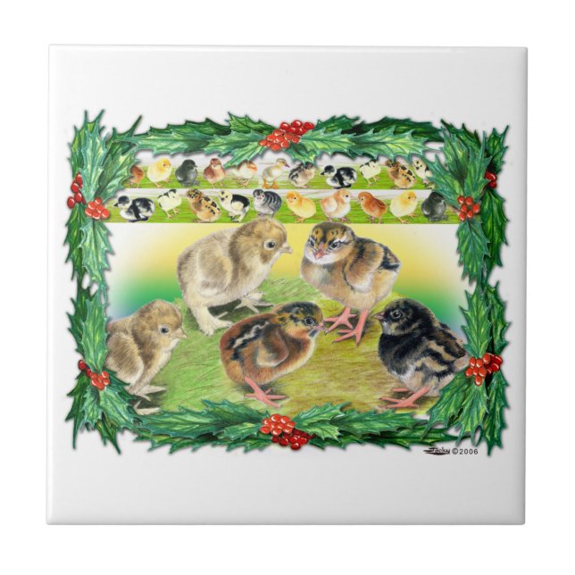 Pintinhos de Natal (Frente)