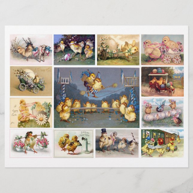 Pintinhos de Páscoas antropomórficas divertidos e  (Frente)