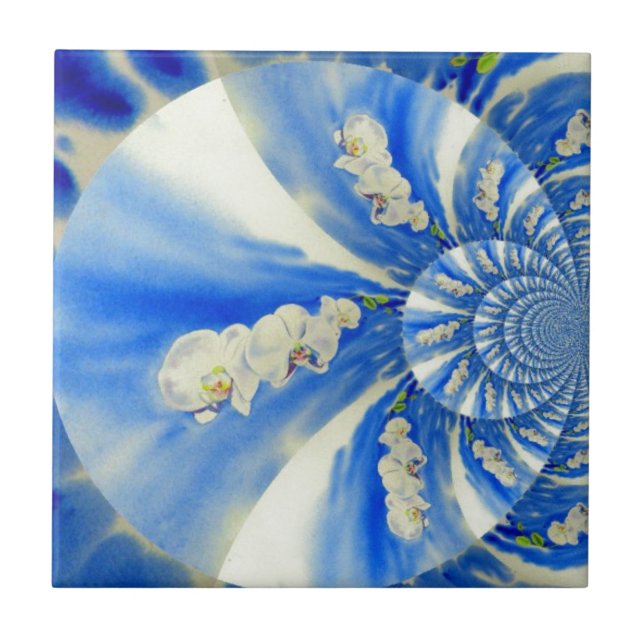 Pintor branco de orquídea elegante (Frente)