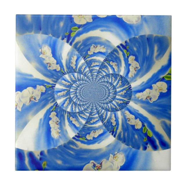 Pintor branco de orquídea elegante (Frente)