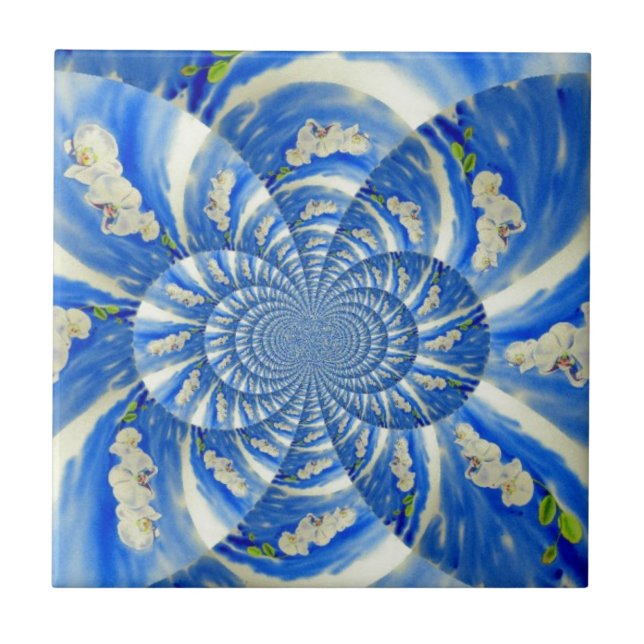 Pintor branco de orquídea elegante (Frente)