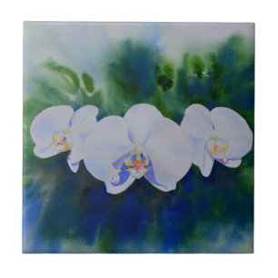 Pintor branco de orquídeas aquáticas, verde