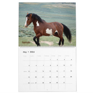 Pintos do Calendário da Bacia de Lavagem de Areia