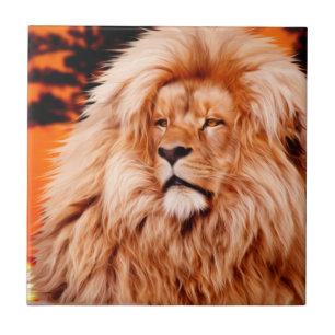 Pintura africana alaranjada da foto do céu do le