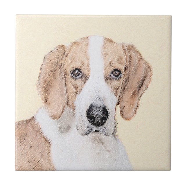 Pintura Americana de Foxhound - Arte Cachorra Orig (Frente)