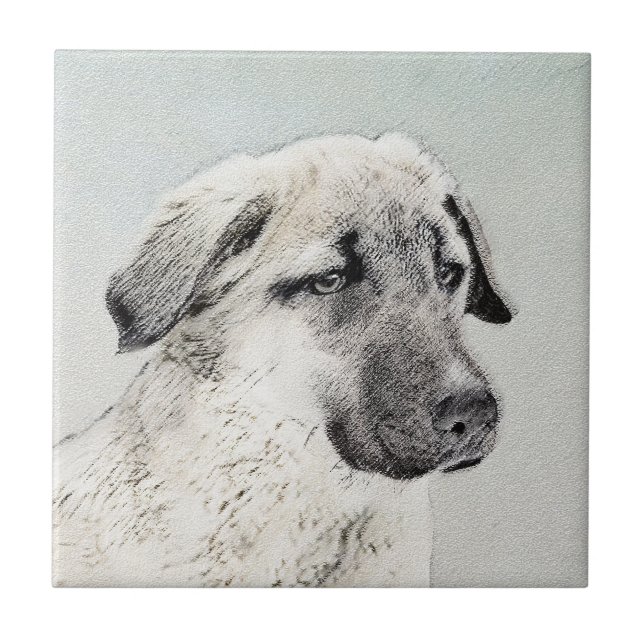Pintura Anatoliana Shepherd - Arte Original para C (Frente)
