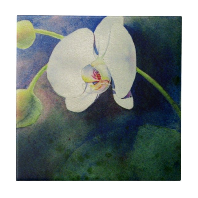 Pintura aquosa de orquídea branca havaiana (Frente)