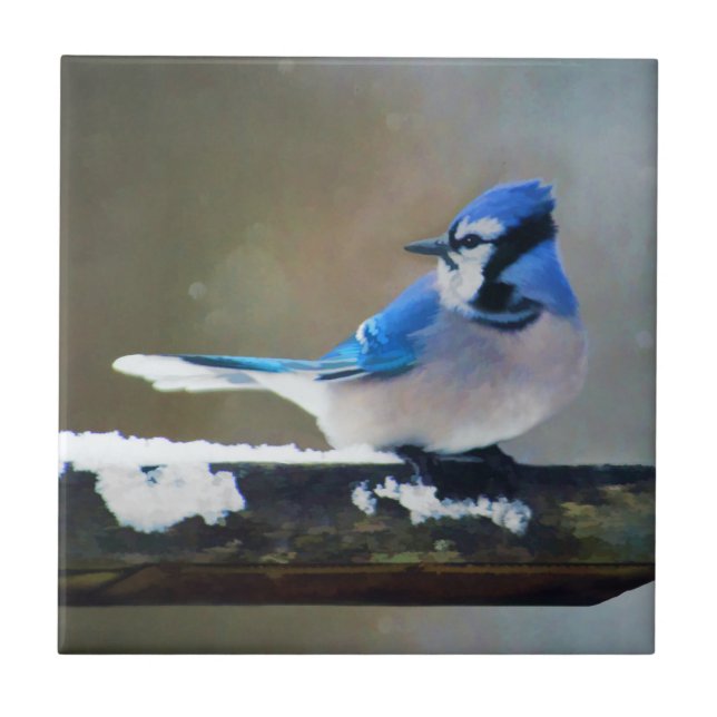 Pintura Blue Jay - Arte Original para Pássaros (Frente)