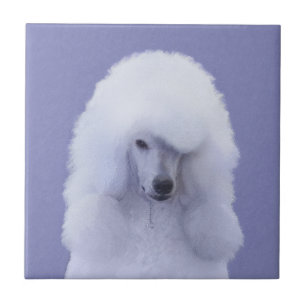 Pintura Branca de Poodle Padrão - Arte Cão Origina