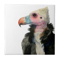 Pintura Branco-Dirigida da aguarela do abutre