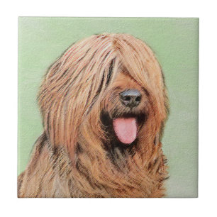 Pintura Briard - Arte Cachorro Original