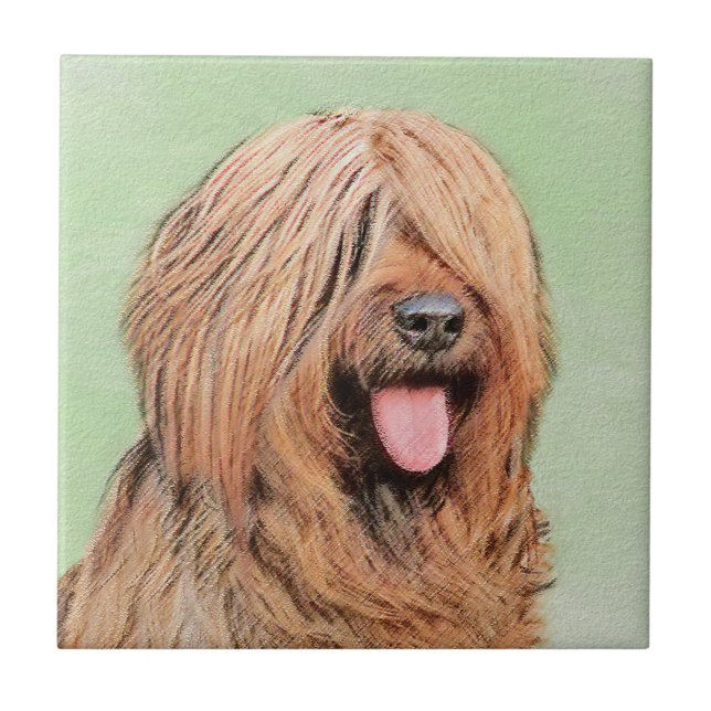 Pintura Briard - Arte Cachorro Original (Frente)