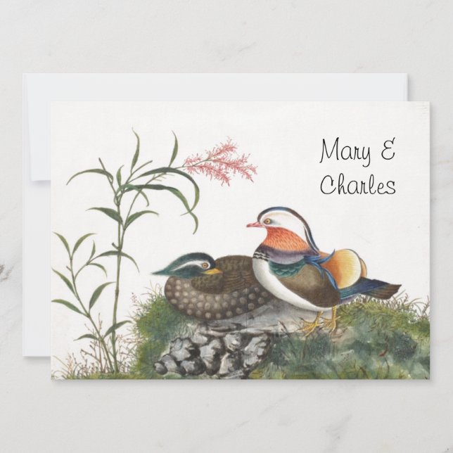 Pintura Chinesa do Pato Mandarim (Frente)