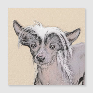 Pintura Chinesa Sem Cabelo Penteada Original Dog A