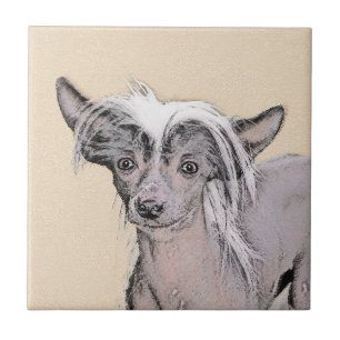Pintura Chinesa Sem Cabelo Penteada Original Dog A