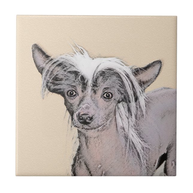 Pintura Chinesa Sem Cabelo Penteada Original Dog A (Frente)