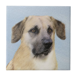 Pintura Chinook (Ouvidos Soltos) - Arte Cachorro O