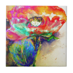 Pintura Colorida de Papoila