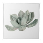 Pintura da aguarela da planta do Succulent<br><div class="desc">Esta é uma pintura da aguarela de uma planta verde do succulent. Foi pintada em um papel pressionado quente dos arcos.</div>