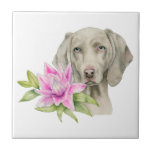 Pintura da aguarela do cão e do lírio de<br><div class="desc">Esta é uma pintura da aguarela de um cão de Weimaraner e de um lírio cor-de-rosa. Weimaraner é um grande cão que se use para ser produzido caçando. Tem uma prata bonita ou as rato-cinzas revestem com os olhos azuis. Isto era pintado mão no papel pressionado quente dos arcos com...</div>