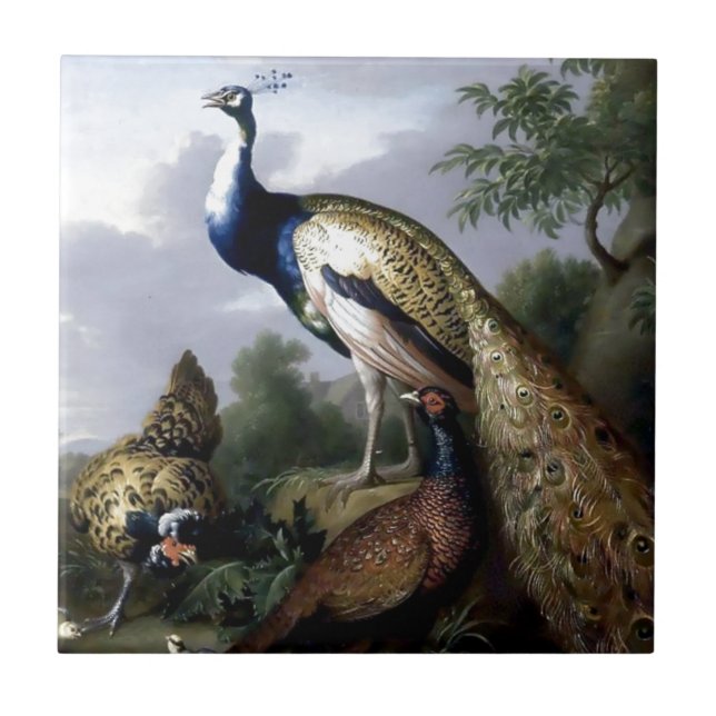 Pintura da família de pássaro do pavão (Frente)