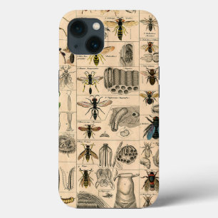 Pintura De Abelhas Insetos Insetos Vaza Natureza N