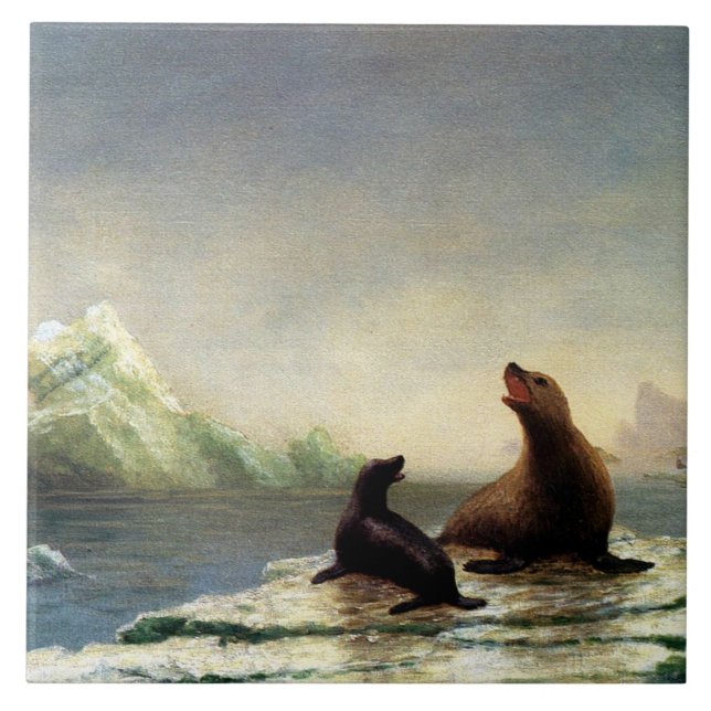 Pintura de Albert Bierstadt, Seals (Frente)