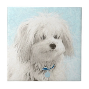 Pintura de Algodão de Tulear - Arte de Cachorro O