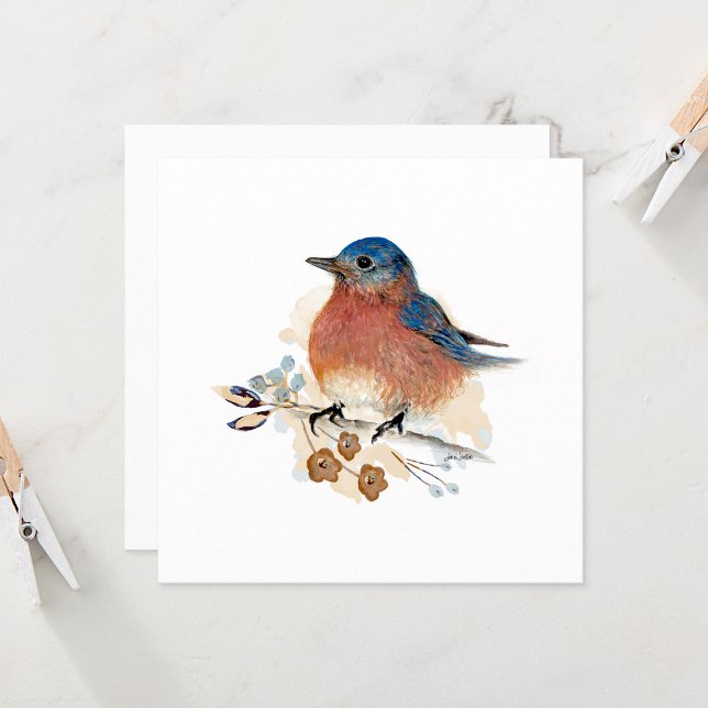 Pintura de Aquarela Bluebird (Beautiful Bluebird Watercolor Blank Note Card by Jenn Steffen Art)